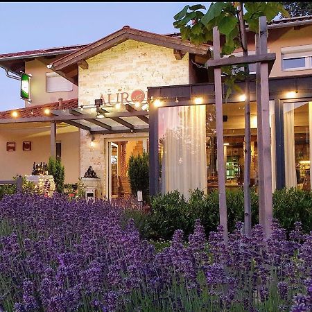 Bük Aurora Panzio Bed & Breakfast エクステリア 写真